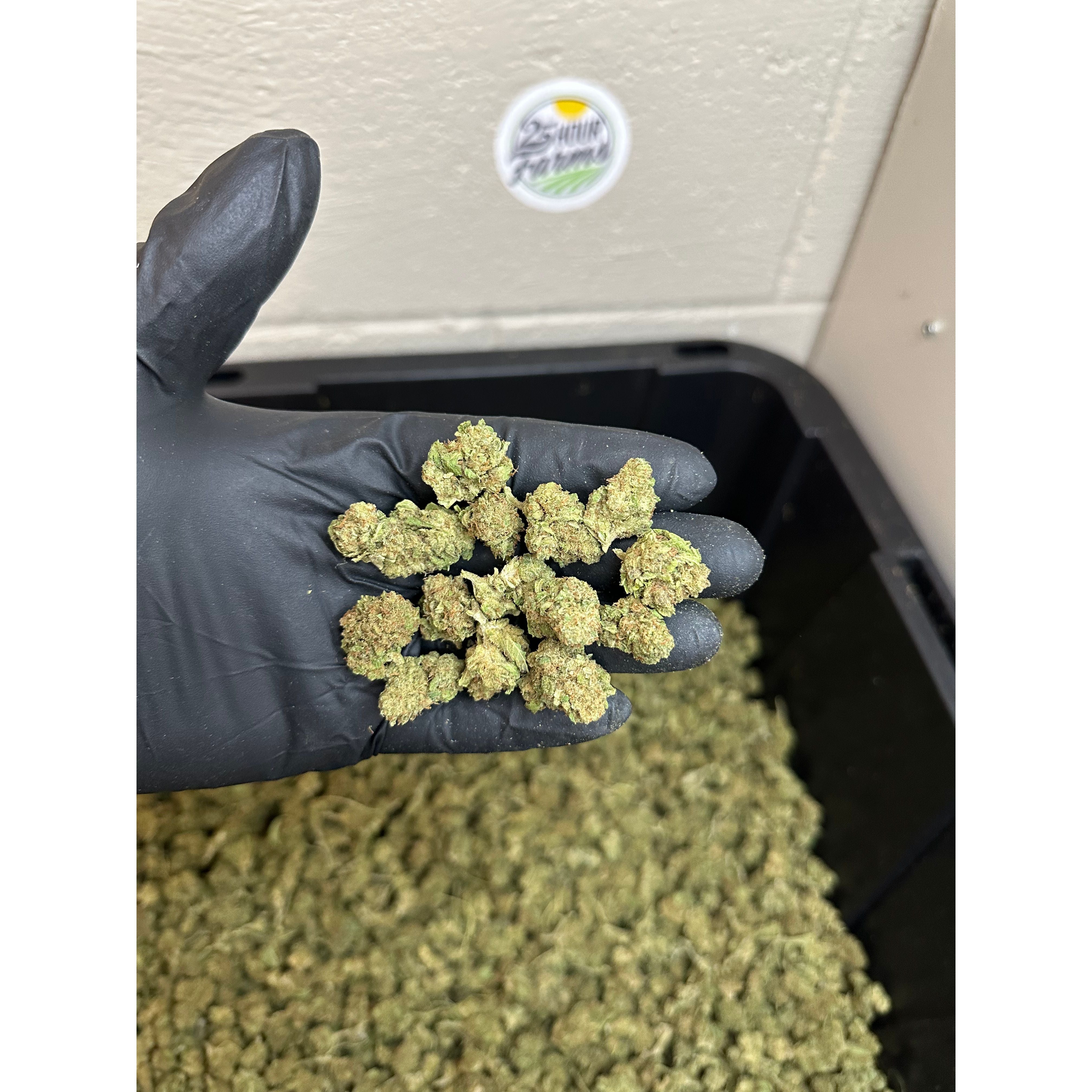 Sour Pineapple CBD Hemp Flower Smalls